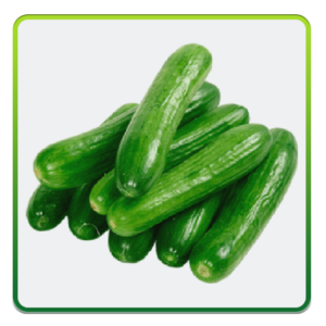 خيار طازج Cucumber