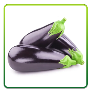 باذنجان طازج Fresh Eggplant