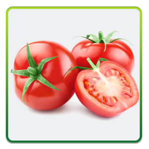 طماطم طازجة Fresh Tomatoes